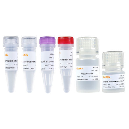 CDNA合成试剂套装 - 11148ES series - Yeasen Biotechnology (Shanghai) Co., Ltd - 酶 / 逆转录酶 / 缓冲溶液