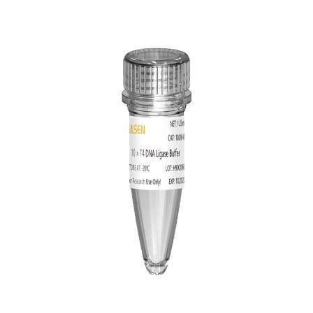 酶试剂 - 10298ES series - Yeasen Biotechnology (Shanghai) Co., Ltd - DNA连接酶 / 用于研究 / NGS