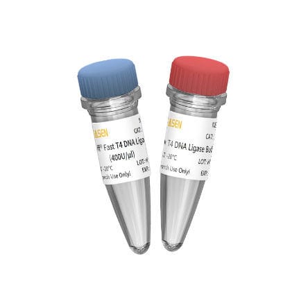 DNA连接酶试剂 - 10299ES series - Yeasen Biotechnology (Shanghai) Co., Ltd - 酶 / 核酸 / 用于研究