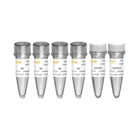 酶试剂套装 - Hieff NGS™ - Yeasen Biotechnology (Shanghai) Co., Ltd - NGS / DNA文库制备
