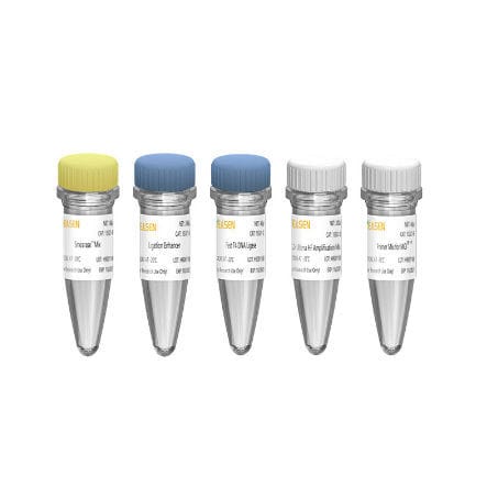 DNA文库制备试剂套装 - Hieff  NGS™ OnePot II  - Yeasen Biotechnology (Shanghai) Co., Ltd - 酶 / NGS / 基因