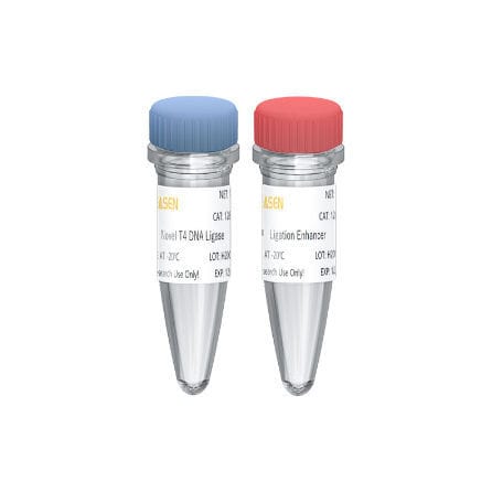 DNA连接酶试剂套装 - Hieff NGS™ - Yeasen Biotechnology (Shanghai) Co., Ltd - 用于研究 / 用于DNA排列