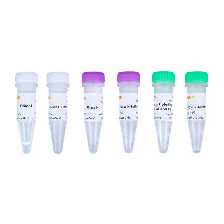 溶液试剂套装 - Hieff NGSTM - Yeasen Biotechnology (Shanghai) Co., Ltd - RNA提取 / NGS