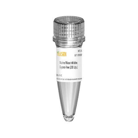核糖核酸酶抑制剂试剂 - 10703ES series - Yeasen Biotechnology (Shanghai) Co., Ltd - 用于体外转录 / 冻干