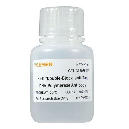 抗体试剂 - Hieff™ - Yeasen Biotechnology (Shanghai) Co., Ltd - 单克隆抗体 / DNA聚合酶 / 用于分子生物