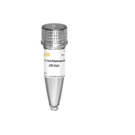 酶试剂 - 10625ES series - Yeasen Biotechnology (Shanghai) Co., Ltd - 用于RNA合成 / 液体 / GMP