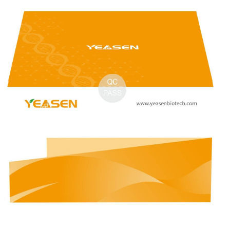 溶液试剂 - Hieff Trans™ - Yeasen Biotechnology (Shanghai) Co., Ltd - 用于DNA转染 / 用于病毒