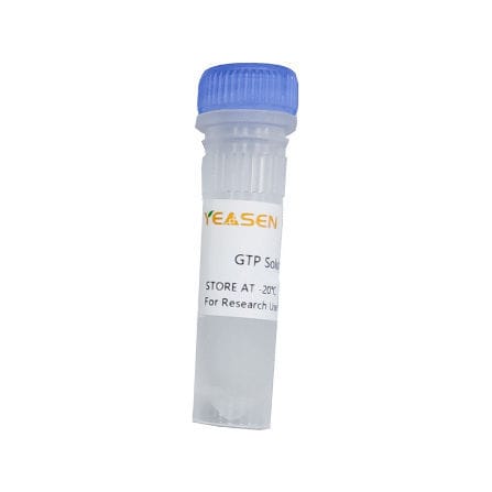 溶液试剂 - 10132ES series - Yeasen Biotechnology (Shanghai) Co., Ltd - 用于体外转录 / 用于RNA合成 / 液体
