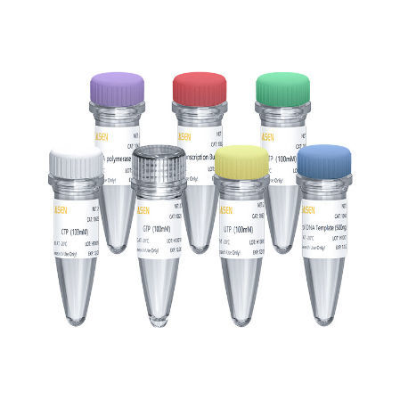 RNA合成试剂套装 - 10623ES series - Yeasen Biotechnology (Shanghai) Co., Ltd - dNTP溶液 / 缓冲溶液 / 液体