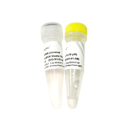 DNA聚合酶试剂 - MQ101-0 series - Vazyme - 染色 / qPCR / 热启动式
