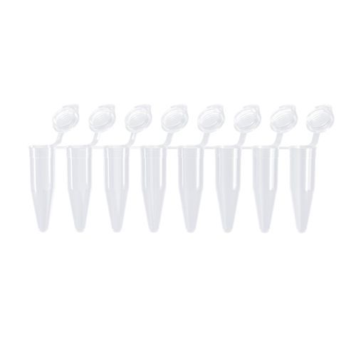 PCR微型管 - PCR00822-01 - Vazyme - qPCR / 锥形 / 聚丙烯