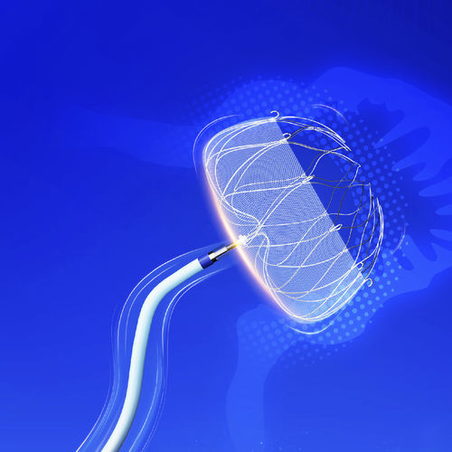 左心耳闭合封堵器 - LeSifterTM - Nanjing YDB Medical Technology Co., Ltd.