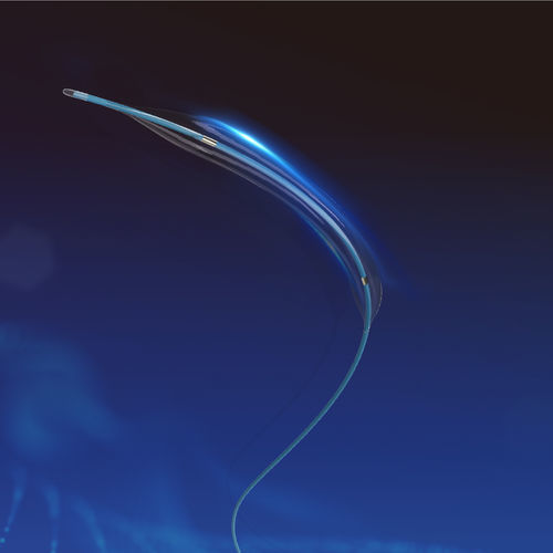 扩张导管 - Nanjing YDB Medical Technology Co., Ltd. - 周围神经系统 / 球囊 / 亲水涂层