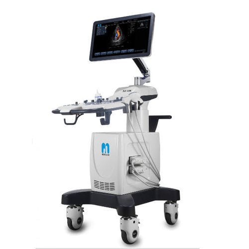 超声工作站 - SLE 1100 - Medelcom International - 用于多功能超声检查 / 用于胸部超声检查 / 黑白