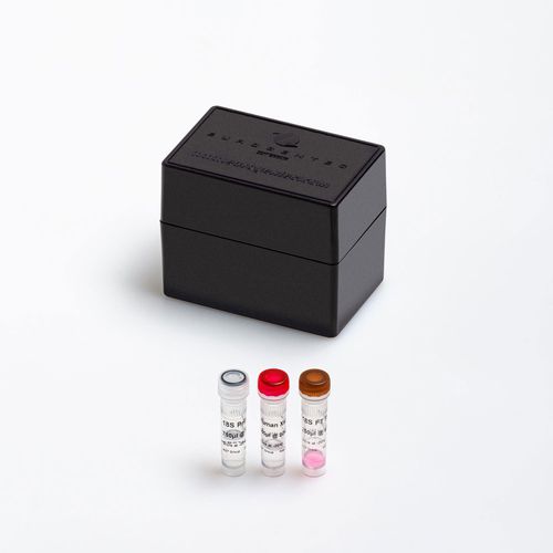 酶试剂套装 - FAM-TAMRA  - Eurogentec - 用于研究 / 诊断 / qPCR