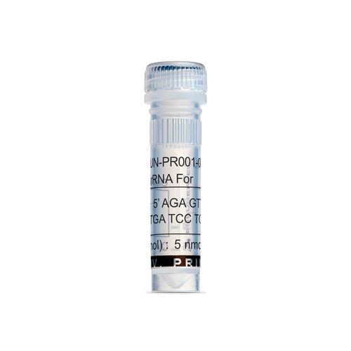 介质试剂试剂 - UN-PR001-005 - Eurogentec - 用于研究 / 细菌