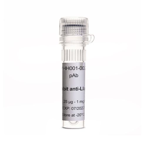 抗体试剂 - EG-VHH001-0025 - Eurogentec - 用于免疫组织化学 / 液体 / 动物源