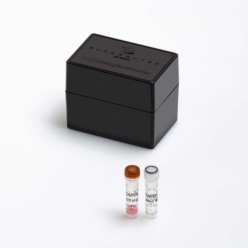 酶试剂套装 - Yakima Yellow® - Eclipse Dark - Eurogentec - 用于研究 / 诊断 / 临床