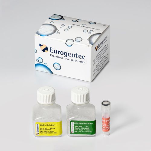 酶试剂套装 - HGS Diamond Taq® - Eurogentec - DNA聚合酶 / 诊断 / PCR