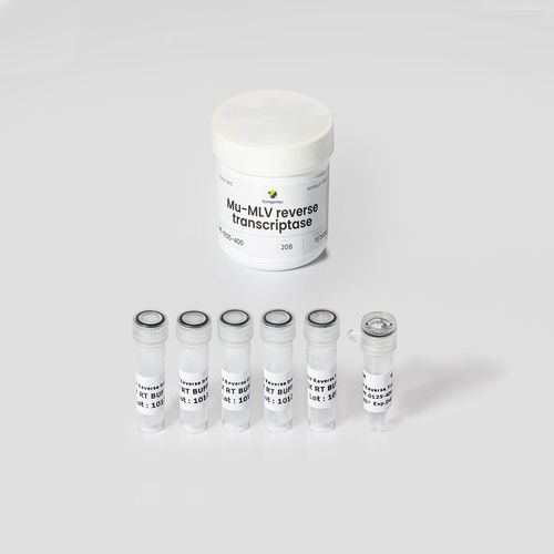 酶试剂套装 - Mu-MLV - Eurogentec - 逆转录酶 / 用于研究 / 液体