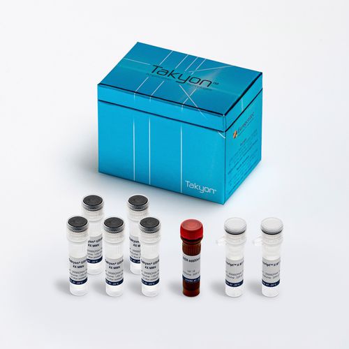 溶液试剂套装 - Takyon® - Eurogentec - DNA聚合酶 / 用于研究 / RT-qPCR