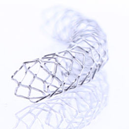 冠状动脉内支架 - DTSS series - Liaoning Yinyi Biological Technology - 金属