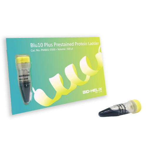 蛋白质梯试剂 - Blu10 Plus - Bio-Helix - 蛋白质印迹