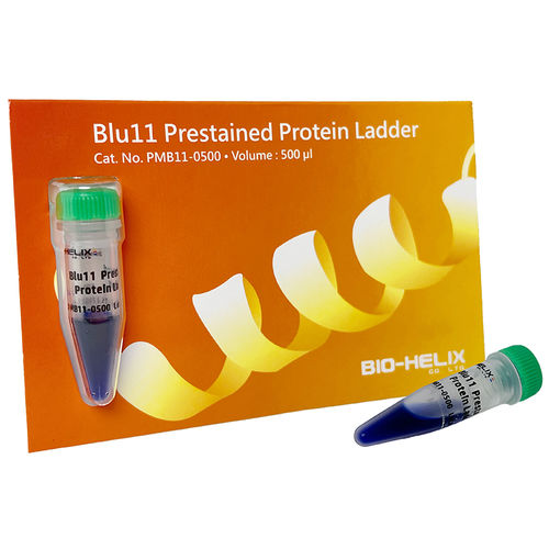 蛋白质梯试剂 - Blu11 - Bio-Helix - 蛋白质印迹 / 尿素 / pH值