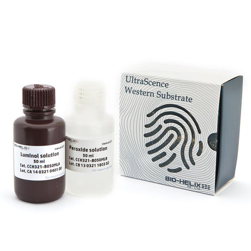 溶液试剂 - UltraScence Pico Plus - Bio-Helix - 抗体 / 抗原 / 蛋白质印迹