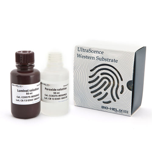 抗体试剂 - UltraScence Femto Plus - Bio-Helix - 抗原 / IgG / 蛋白质印迹