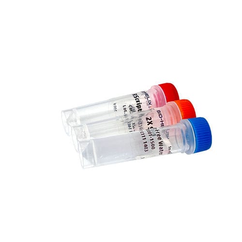 逆转录酶试剂套装 - RScript™ - Bio-Helix - 核糖核酸酶抑制剂 / 用于cDNA合成