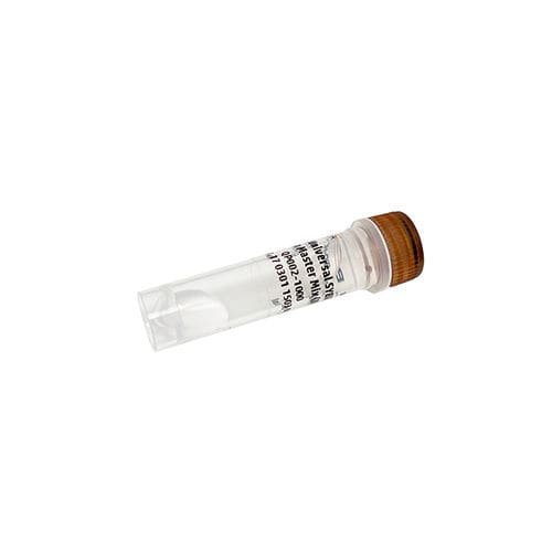 酶试剂 - PanProbes™ - Bio-Helix - DNA聚合酶 / 染色 / qPCR