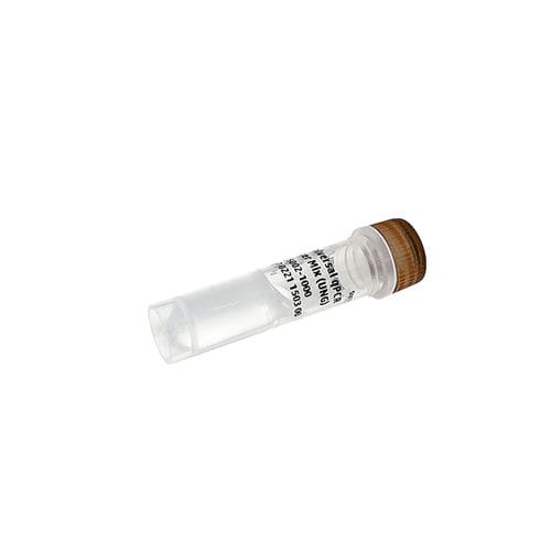 酶试剂 - PanGreen™ - Bio-Helix - DNA聚合酶 / 染色 / 用于实时PCR