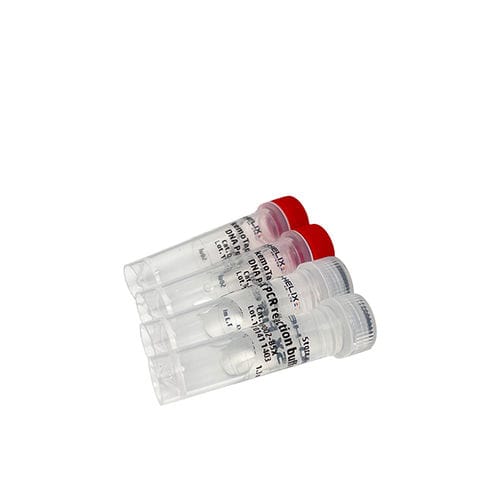 酶试剂 - kemoTaq™ - Bio-Helix - DNA聚合酶 / 染色 / 热启动式