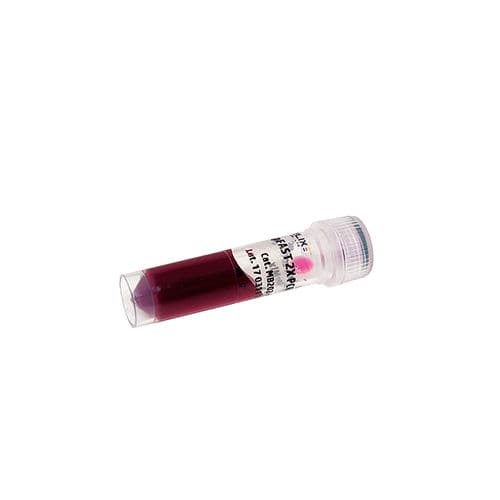 酶试剂 - AmpFAST - Bio-Helix - Taq-DNA聚合酶 / 基因组DNA