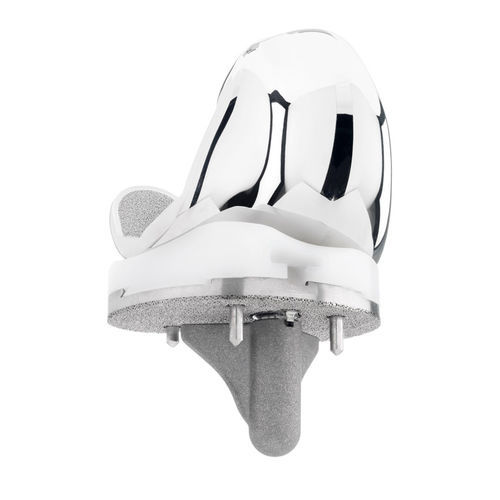 三间隔膝关节假体 - Evolution®BIOFOAM® - MicroPort Orthopedics - 固定轴承 / 非骨水泥 / 左