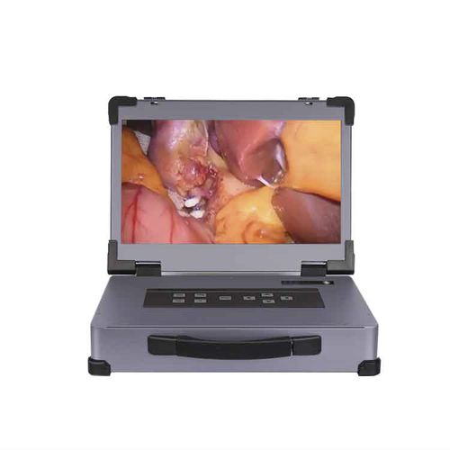 内窥镜摄像头 - HD3310 - Xuzhou Hengjia Electronic Technology - 医用 / 手术 / 兽用
