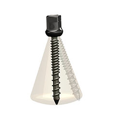 胸椎椎弓根螺钉 - ISpine PLS-Ⅱ - Zhejiang Jiayou Medical Device - 多轴 / 金属