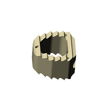 颈椎间融合器 - Zhejiang Jiayou Medical Device - 前入路 / PEEK材质