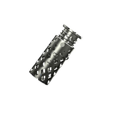 胸腰椎脊椎假体 - ISpine Mesh-Ⅱ - Zhejiang Jiayou Medical Device - 可扩展