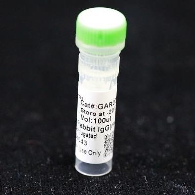单克隆抗体试剂 - BAB1727 - MULTI SCIENCES(LIANKE) BIOTECH, CO.,LTD. - 防腐剂 / 用于研究 / 兽医实验室