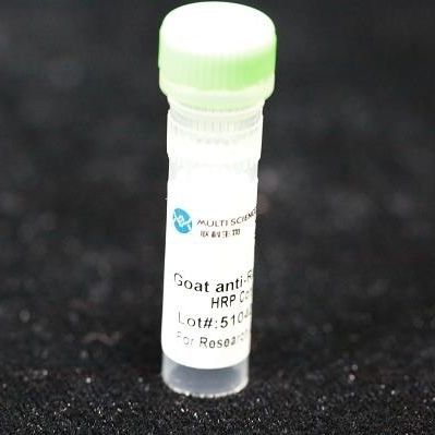 单克隆抗体试剂 - BAB1724 - MULTI SCIENCES(LIANKE) BIOTECH, CO.,LTD. - 防腐剂 / 胶原蛋白 / 用于研究
