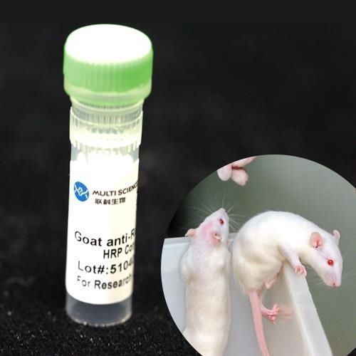 单克隆抗体试剂 - BAB1722 - MULTI SCIENCES(LIANKE) BIOTECH, CO.,LTD. - 防腐剂 / 用于研究 / 蛋白质