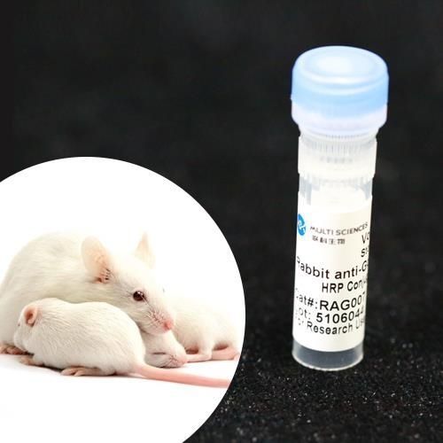 单克隆抗体试剂 - BAB1721 - MULTI SCIENCES(LIANKE) BIOTECH, CO.,LTD. - 防腐剂 / 用于研究 / 蛋白质