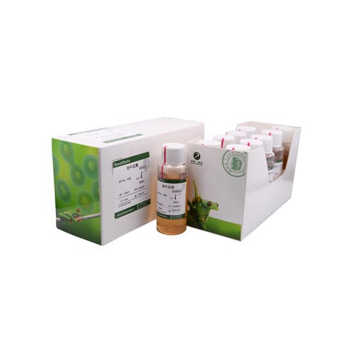 蛋白酶试剂 - S660JJ - Shanghai Basalmedia Technologies Co., Ltd. - 胎牛血清 / 等离子 / 生长因子