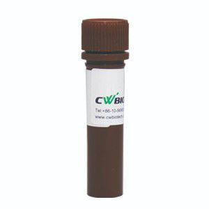 加载缓冲区试剂 - SuperStain - Jiangsu CoWin Biotech Co.,Ltd - 染色 / 用于微生物学