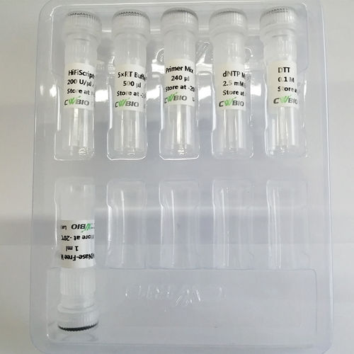 酶试剂 - HiFiScript  - Jiangsu CoWin Biotech Co.,Ltd - 逆转录酶 / RT-qPCR