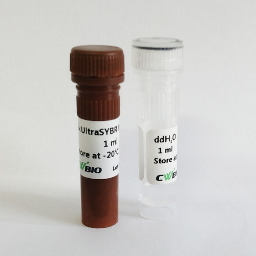 酶试剂 - UltraSYBR Mixture - Jiangsu CoWin Biotech Co.,Ltd - DNA聚合酶 / Taq-DNA聚合酶 / 染色