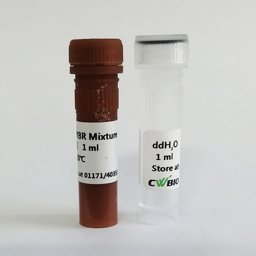 DNA聚合酶试剂 - UltraSYBR Mixture - Jiangsu CoWin Biotech Co.,Ltd - Taq-DNA聚合酶 / 缓冲溶液 / 染色
