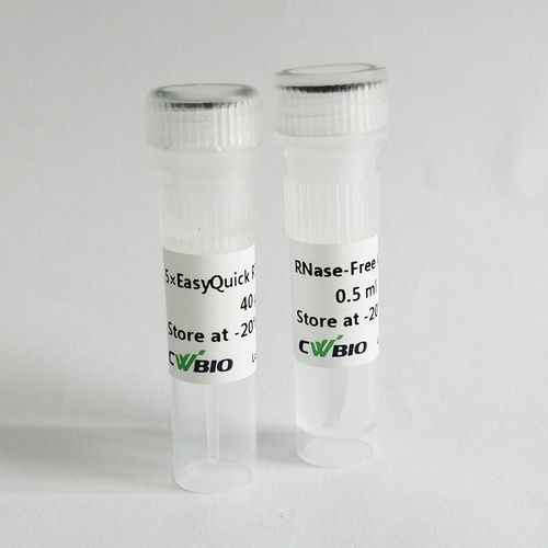 逆转录酶试剂套装 - EasyQuick RT - Jiangsu CoWin Biotech Co.,Ltd - 用于cDNA合成